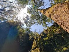 -梭布垭石林景区