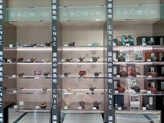-国药中服免税(北京坊店)