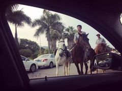 -黄金海岸环岛路