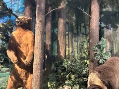 -陕西自然博物馆