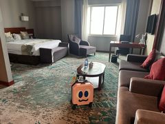 -北京亚奥国际酒店