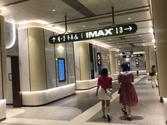 -英皇电影城(平安金融中心IMAX激光店)