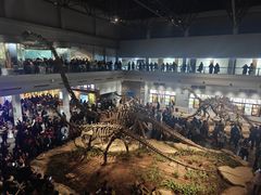 -自贡恐龙博物馆