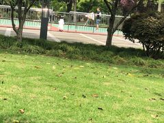 -来噻布布 Lets BUBU