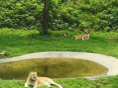 -济南野生动物世界