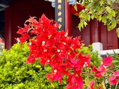 -南沙天后宫景区