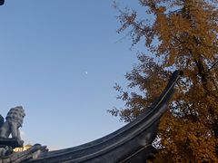 -上海白云观