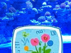 -太平洋海底世界