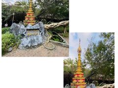 -瑞丽独树成林风景区