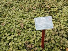 -广西壮族自治区药用植物园