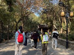 -灵岩山风景区