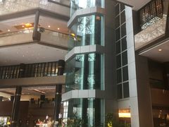 -上海新锦江大酒店