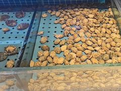 -冀粤香海鲜自助餐厅(西美五洲店)