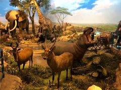 -陕西自然博物馆