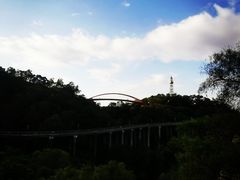 -金鸡山公园