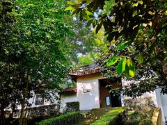 -上海佘山国家森林公园天马山园