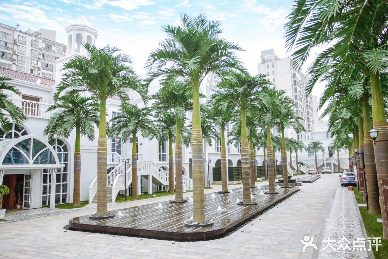 梦寐以求的婚礼