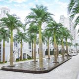 梦寐以求的婚礼