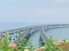 -星海湾跨海大桥
