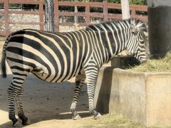 -石家庄市动物园