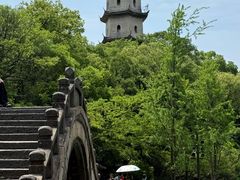 -江心屿景区