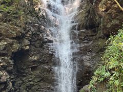 -长谷洞天