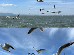 -捞渔河湿地公园