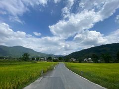 -塔川景区