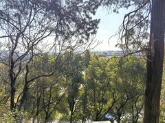 -孤山景区-孤山寺
