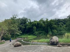 -中国科学院西双版纳热带植物园