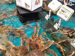 -盒马鲜生(皇庭广场店)