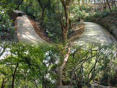 -阳台山森林公园