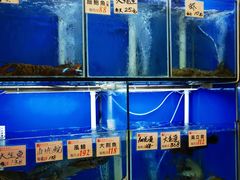 水产区-华峰食馆(氹仔店)