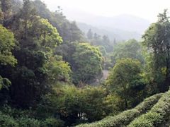 -东部华侨城