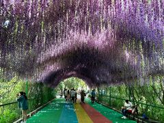 -常州淹城野生动物世界