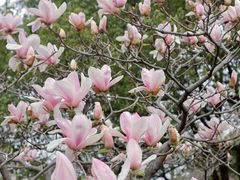 -玄武湖景区-情侣园游乐场