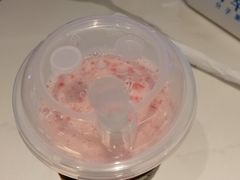 -野萃山·潮汕厚果汁(十亩地店)