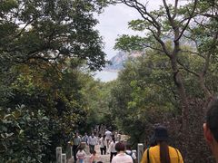 -崂山仰口游览区