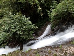 -龙苍沟森林公园
