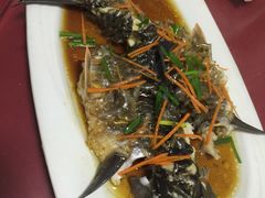 -悠悠美食