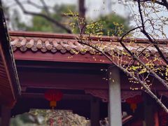 -杭州上天竺法喜讲寺