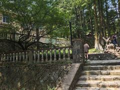 -莫干山风景区