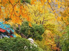 -青岛崂山太清宫