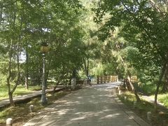 -泰安地下龙宫景区