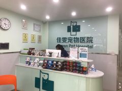 -佳雯宠物医院(金华南路分院)