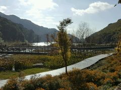 -广州市石门国家森林公园
