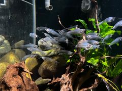 -太平洋海底世界