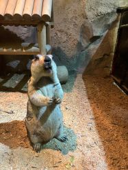 -酷嗒动物文化乐园(cutezoo西溪乐天城店)