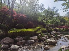 -大连植物园