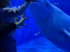 -多彩贵州城极地海洋世界